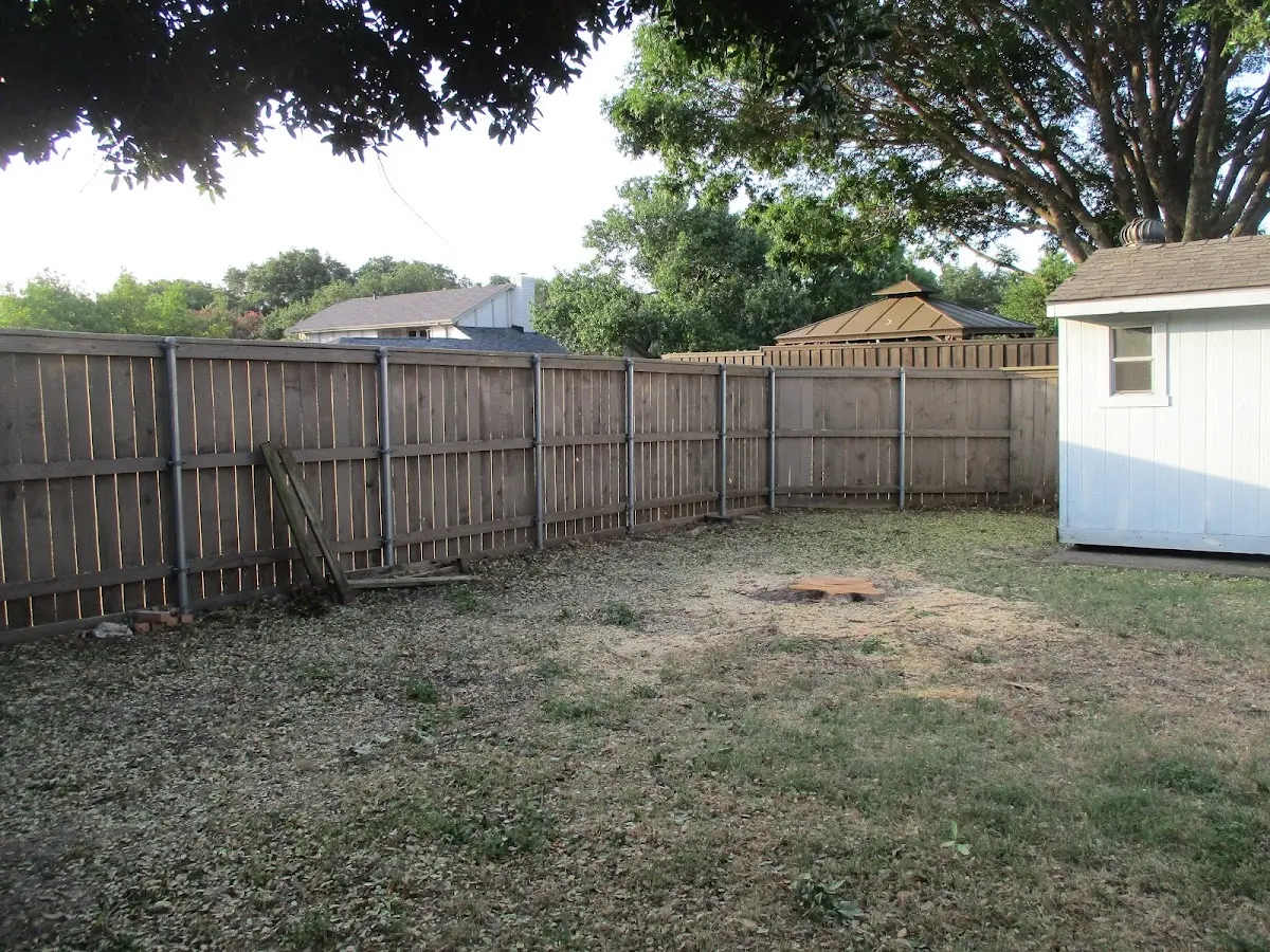 Cleared yard after professional tree removal in Calera